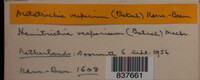Image Associated With the Occurence